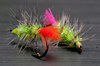 Kai's Green Terror Kai's Green Terror