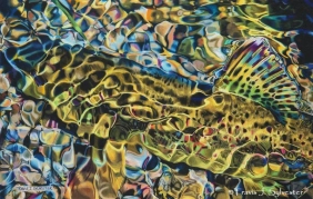 Hot Creek Camo Hot Creek Camo