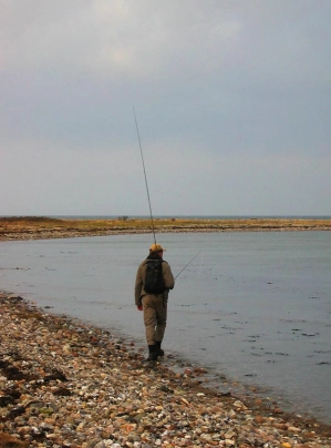 Walk the walk Walk the walk