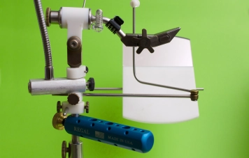 Stem real estate Stem real estate