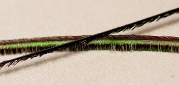 Steaming peacock herl Steaming peacock herl