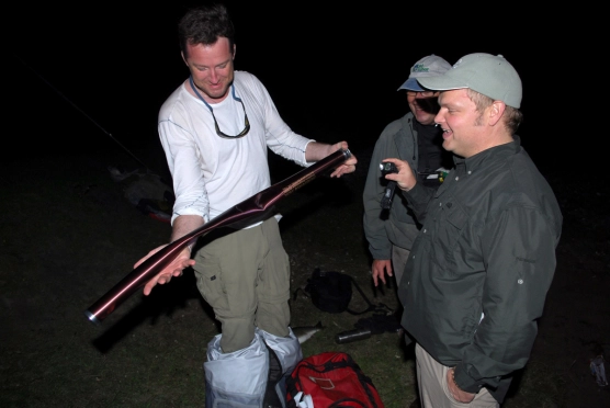 Mullets and cows! - image Mullets and cows! - image