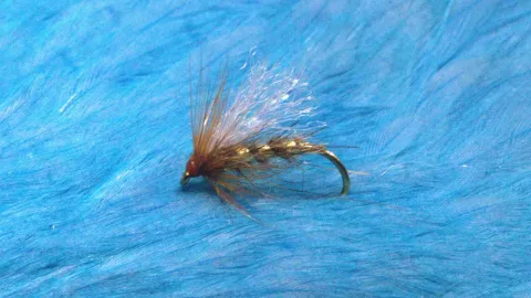Video thumb for Gold Banton Midge