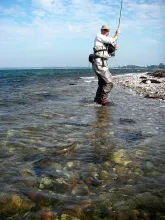 User submitted picture: Ripley Davenport landing ...