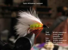 User submitted picture: The Cat's Whisker is a l...