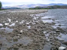 User submitted picture: Didymo (didymosphenia gem...