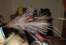 User submitted picture: Last night's tying phant...