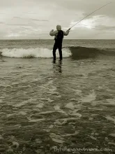 User submitted picture: Danish Delight - searchin...