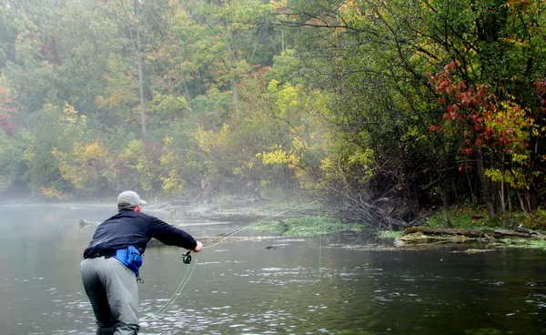 User submitted picture: Nymphing in the Mist