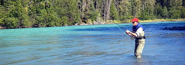 User submitted picture: alaska fighting