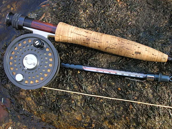 User submitted picture: A February Outing