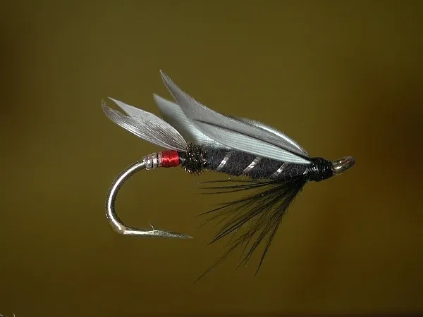 User submitted picture: Just a variation on an ol...