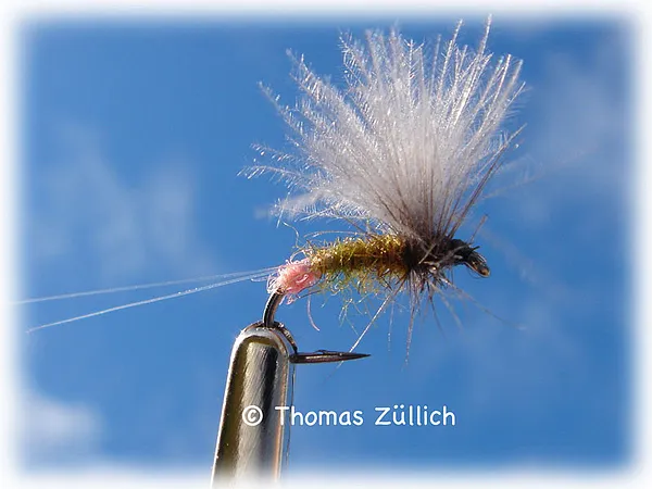 User submitted picture: CDC BWO tied by Thomas Zu...