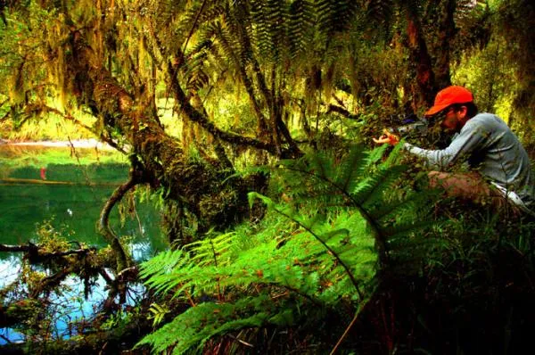 User submitted picture: Peter in action - filming...