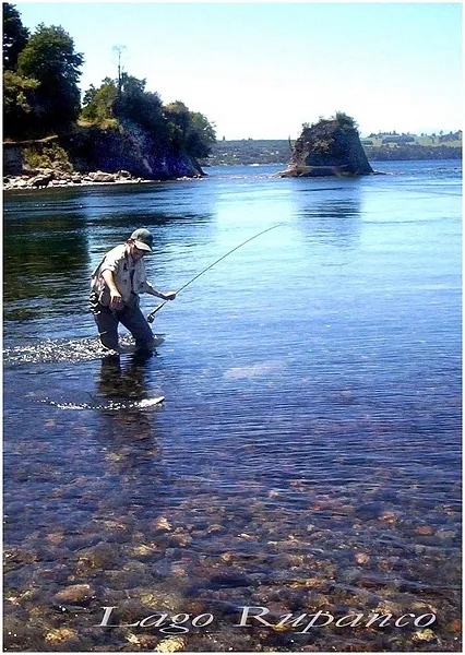 User submitted picture: Captura de trucha arco ir...